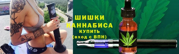 гидропоника Бородино
