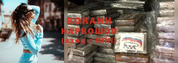ПСИЛОЦИБИНОВЫЕ ГРИБЫ Бронницы