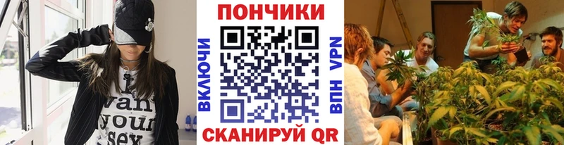 продажа наркотиков  Новосокольники  Каннабис индика 
